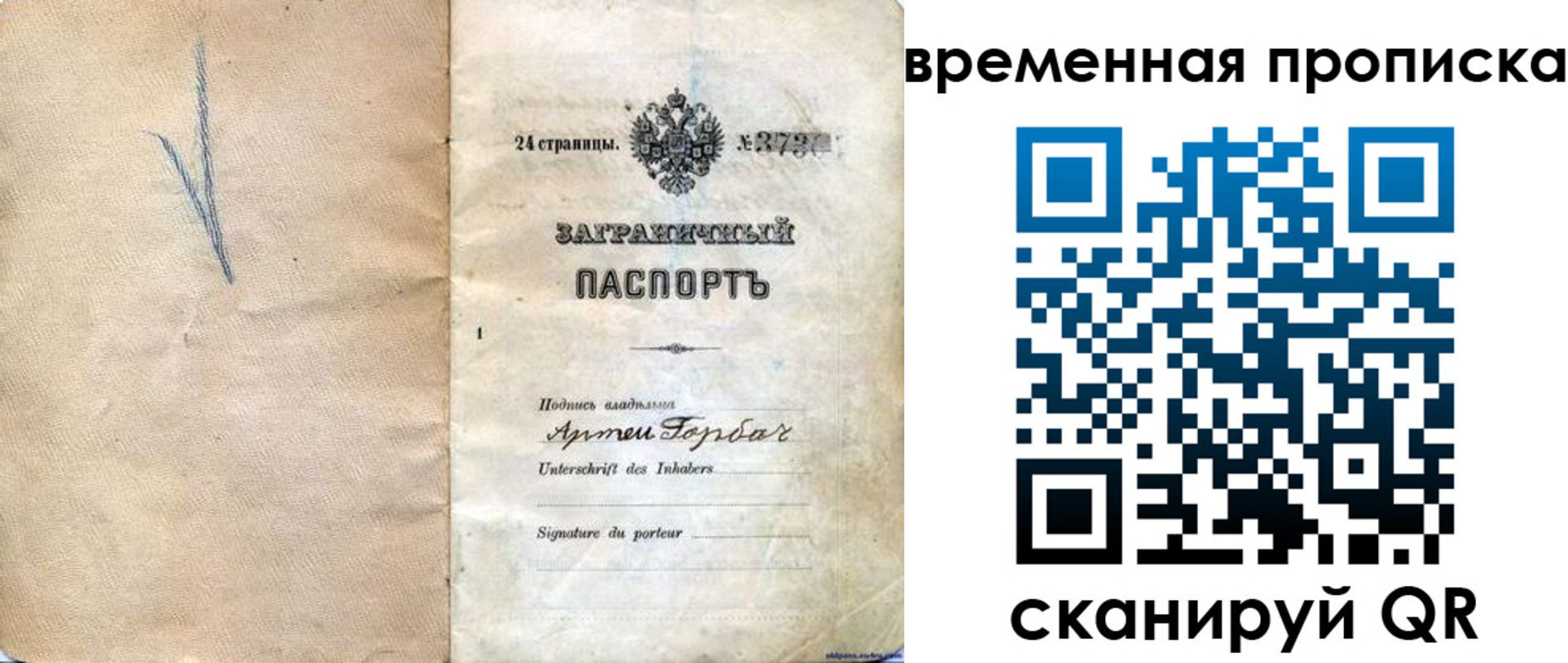 прописка поиск в Ершове