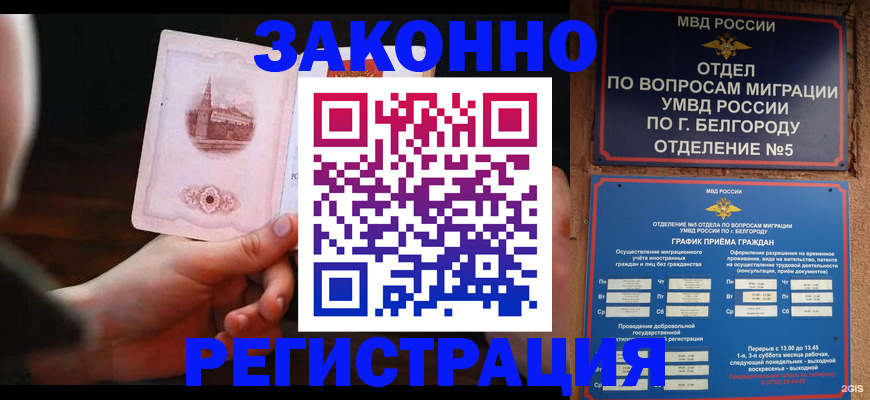 прописка 2025 в Ершове